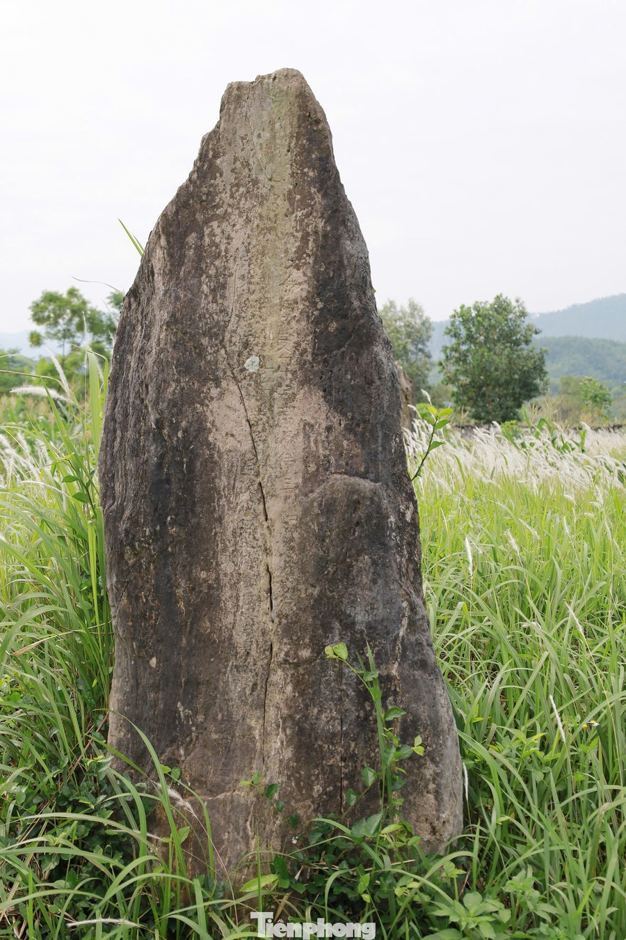 ຫລັງຈາກ 400 ປີມານີ້, ຫໍສຸສານຫີນ ດົ່ງເທກ ຍັງຄົງຢືນຢູ່ໃນເມກຂອງແຜ່ນດິນເມືອງ Muong. ບັນດາແຜ່ນຫີນທີ່ປົກຄຸມດ້ວຍຍຸງ ແລະ ແຜ່ນຈາລຶກທີ່ຈາງຫາຍໄປໃນຊຸມປີມໍ່ໆມານີ້ ບໍ່ພຽງແຕ່ແມ່ນຮ່ອງຮອຍຂອງຄອບຄົວທີ່ເຄີຍສະຫງ່າຜ່າເຜີຍເທົ່ານັ້ນ, ຫາກຍັງເປັນພະຍານຫຼັກຖານປະຫວັດສາດ, ບັນທຶກຂີດໝາຍແຫ່ງຄວາມຮຸ່ງເຮືອງດ້ານວັດທະນະທຳເຜົ່າມົ້ງ. tp-15.jpg