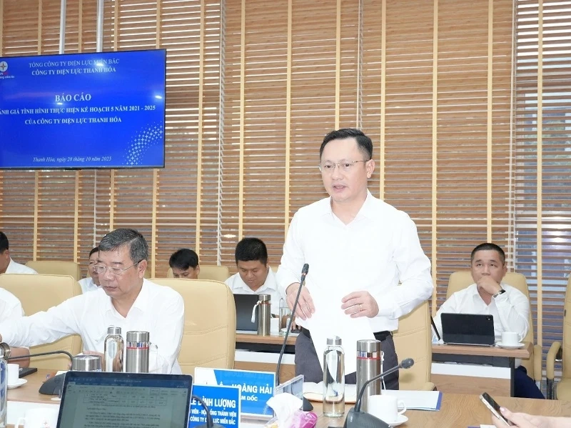 EVNNPC:s styrelseordförande Do Nguyet Anh arbetar med Thanh Hoa Electricity Company