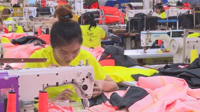 Doanh nghiệp dệt may cần làm gì để thoát khỏi mô hình gia công xuất khẩu? - Ảnh 7.