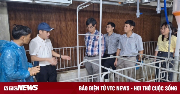 Thạc sĩ Chăn nuôi Thú y VNUA: Trở thành chuyên gia kỹ thuật và quản lý toàn diện