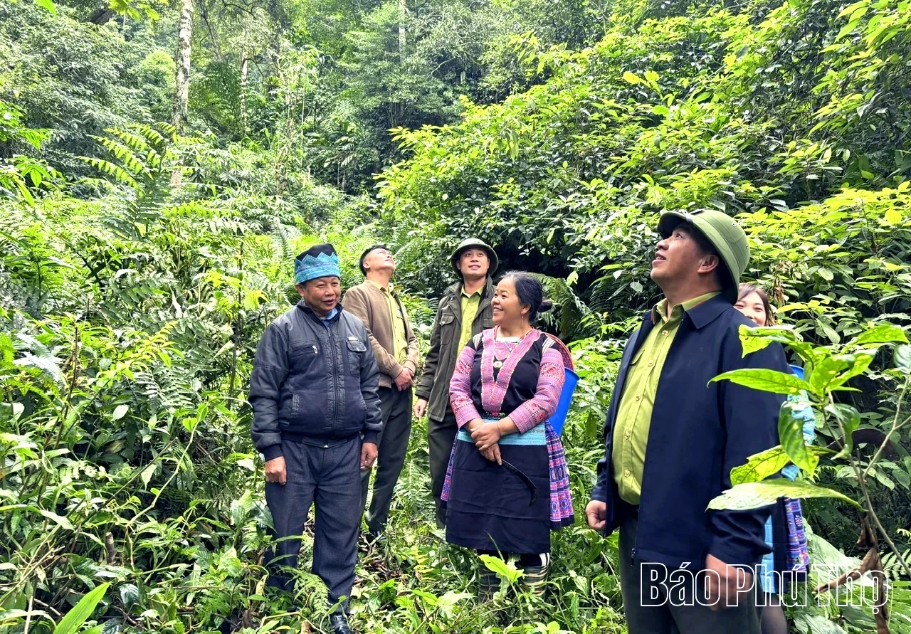 ពេលជនជាតិម៉ុងទុកព្រៃសម្រាប់ទេសចរណ៍