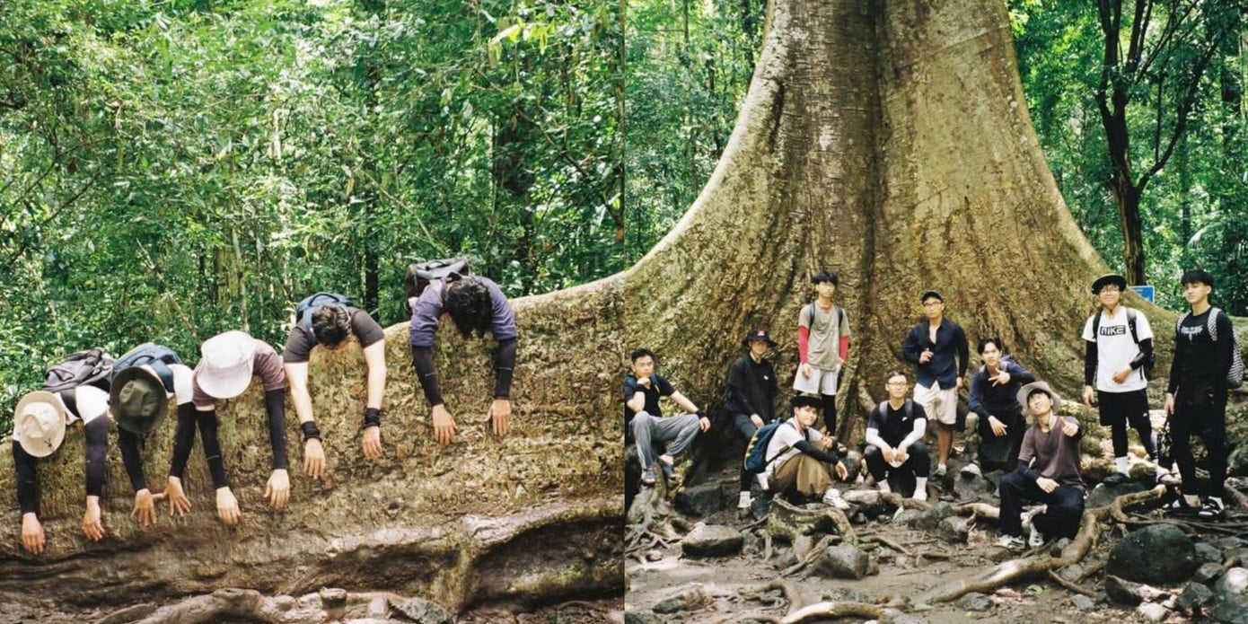 نام کیٹ ٹین نیشنل پارک میں قدیم تنگ درخت کا انوکھا نظام۔