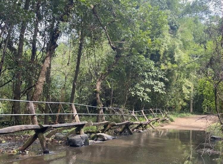 سٹریم روڈ نام کیٹ ٹائین میں بہت سے نوجوانوں کو اپنی طرف متوجہ کرنے والی ایک مثالی جگہ ہے۔