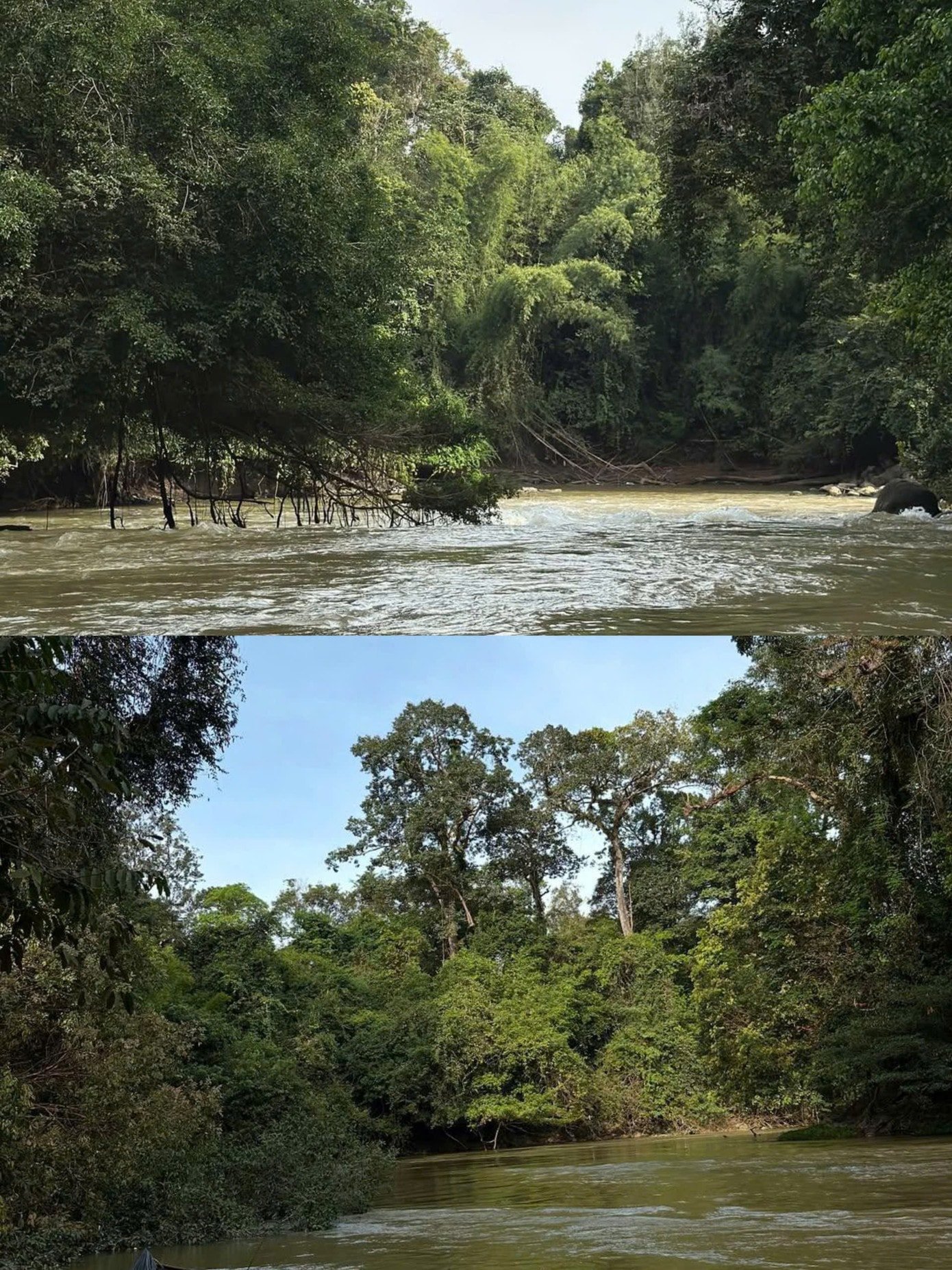 Thac Troi میں جنگلی اور ٹھنڈے مناظر۔