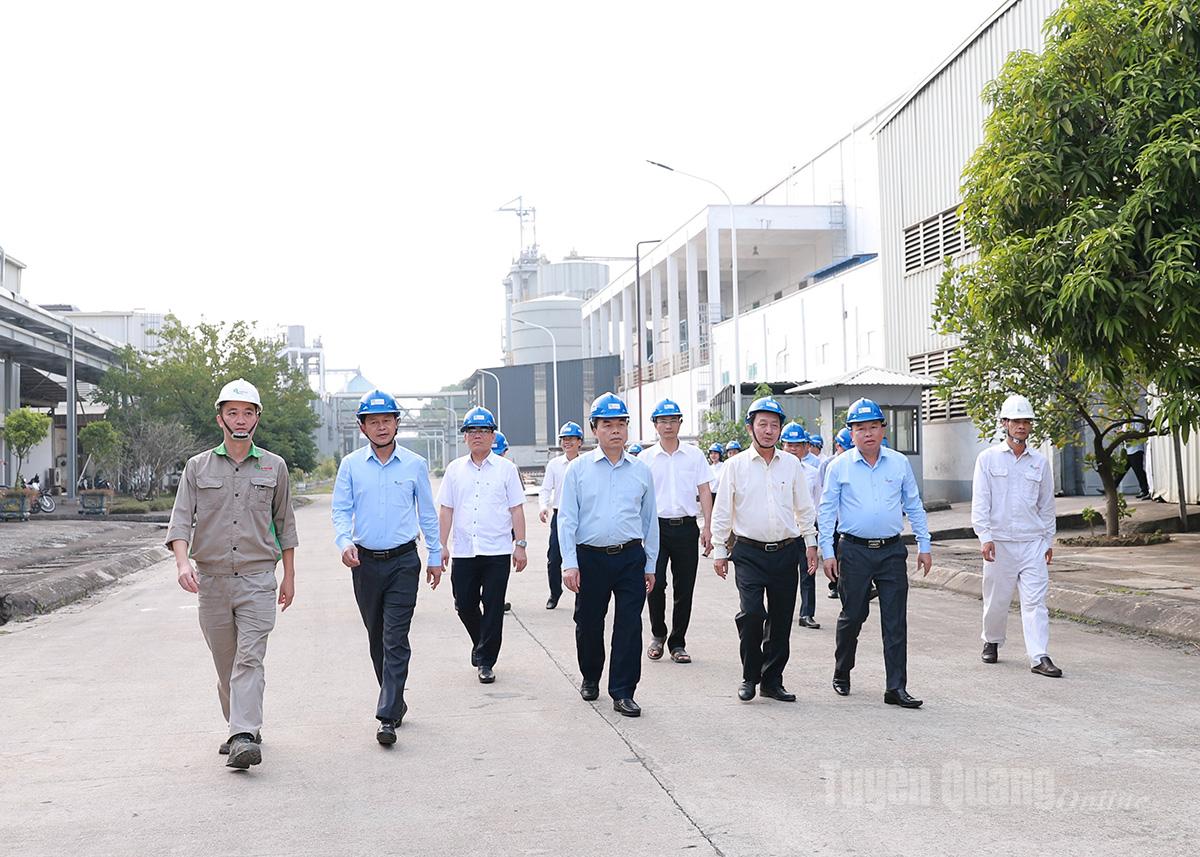 ក្រុមការងារបានចុះអង្កេតប្រតិបត្តិការរោងចក្រក្រដាសរបស់ក្រុមហ៊ុន An Hoa Paper Joint Stock Company។