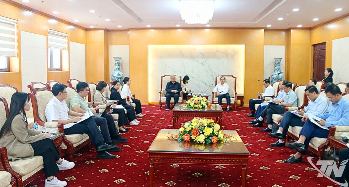 O presidente do Comitê Popular Provincial, Pham Hoang Son, recebeu e trabalhou com a Corporação da Indústria Eletrônica da China (CEC).