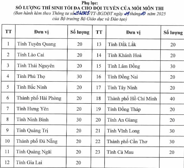 Sửa quy chế thi học sinh giỏi quốc gia- Ảnh 2.