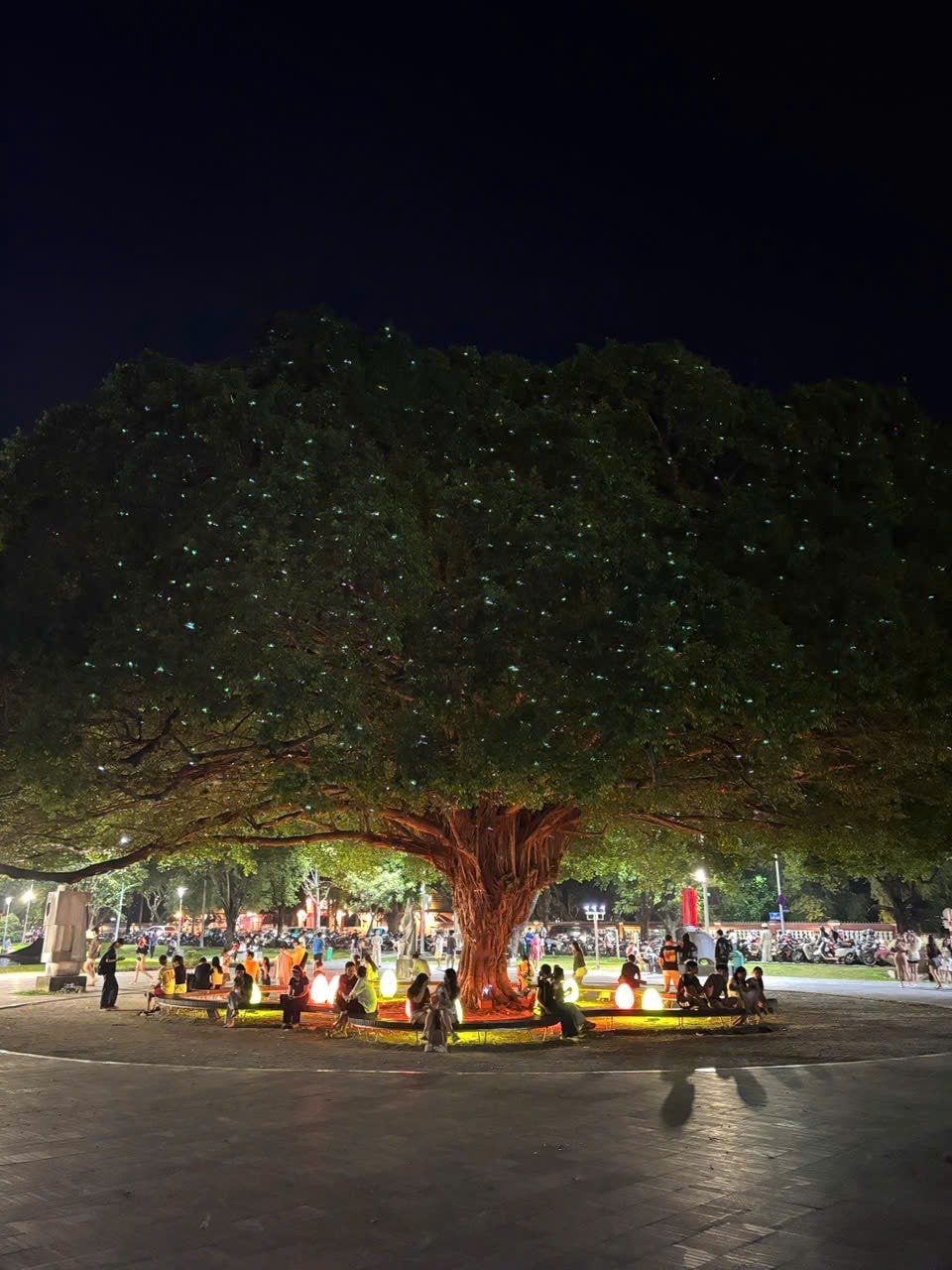 Arborele cu licurici din parcul Le Loi este iluminat noaptea.