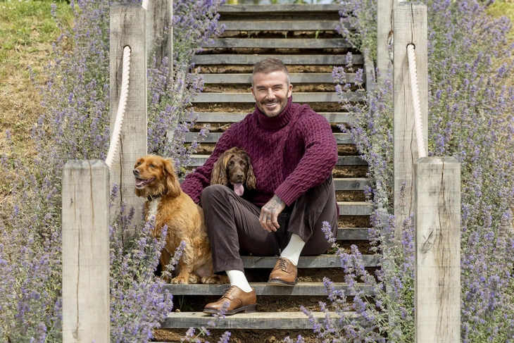 David Beckham - Ảnh 2.