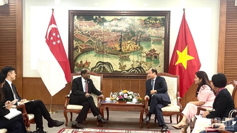 संस्कृति, खेल और पर्यटन के स्थायी उप मंत्री ले हाई बिन्ह ने वियतनाम में सिंगापुर के राजदूत श्री जय रत्नम का स्वागत किया।