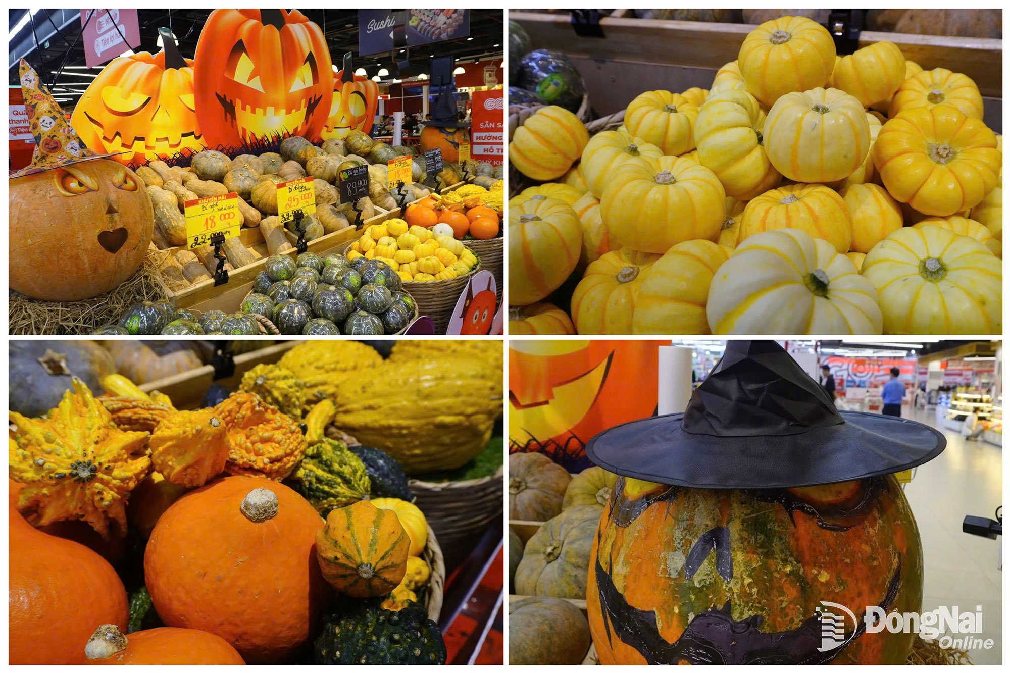 Φωτεινές κολοκύθες, γεμάτες χρώματα του Χάλογουιν. Φωτογραφία: Thuy Tien