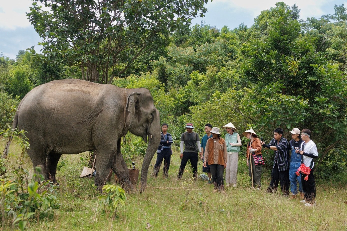 Dòng thác Dray Nur đổ xuống mạnh mẽ, tung bọt trắng xóa giữa khung cảnh núi rừng.