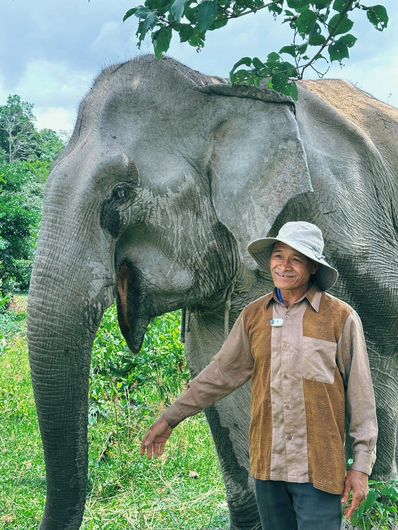 Du khách quan sát hoạt động tự nhiên của voi trong Vườn quốc gia Yok Đôn.