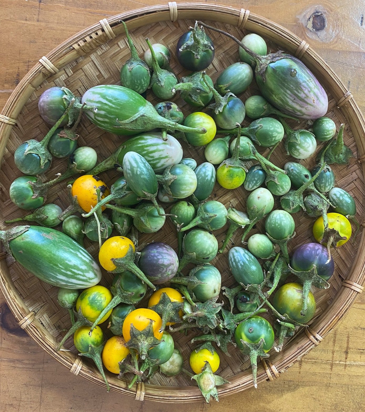 Những quả cà đắng màu xanh, một loại rau đặc sản của vùng đất Tây Nguyên.