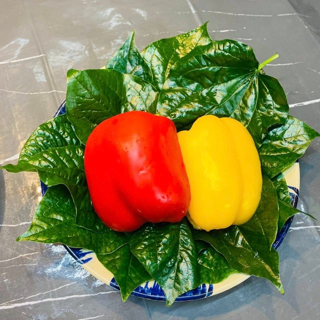 ម្តាយល្អប្រាប់ពីរបៀបធ្វើឆ្អឹងជំនីរឆ្ងាញ់សម្រាប់គ្រួសារទាំងមូលដើម្បីផ្លាស់ប្តូររសជាតិនៅថ្ងៃត្រជាក់ - រូបថត 2 ។ Mẹ đảm mách cách làm sườn giòn ngon cho cả nhà đổi vị ngày trời lạnh - Ảnh 2.