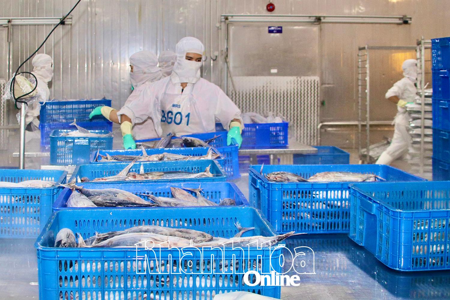 Aktivitas pengolahan makanan laut sebuah bisnis di Kawasan Industri Suoi Dau. Foto: DINH LAM