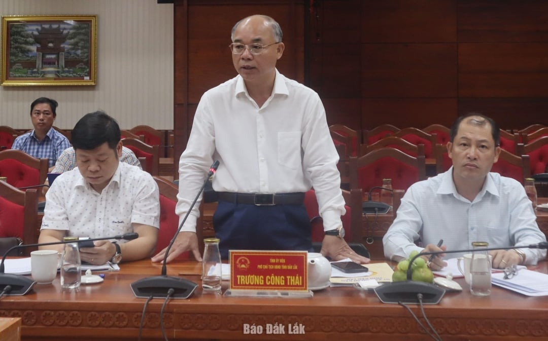 Vice Chairman of the Provincial People's Committee Truong Cong Thai reported on the current status of traffic infrastructure at the working session.
