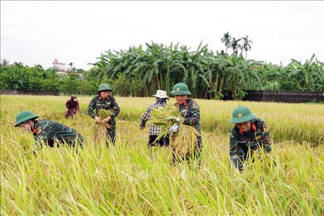 Photo caption