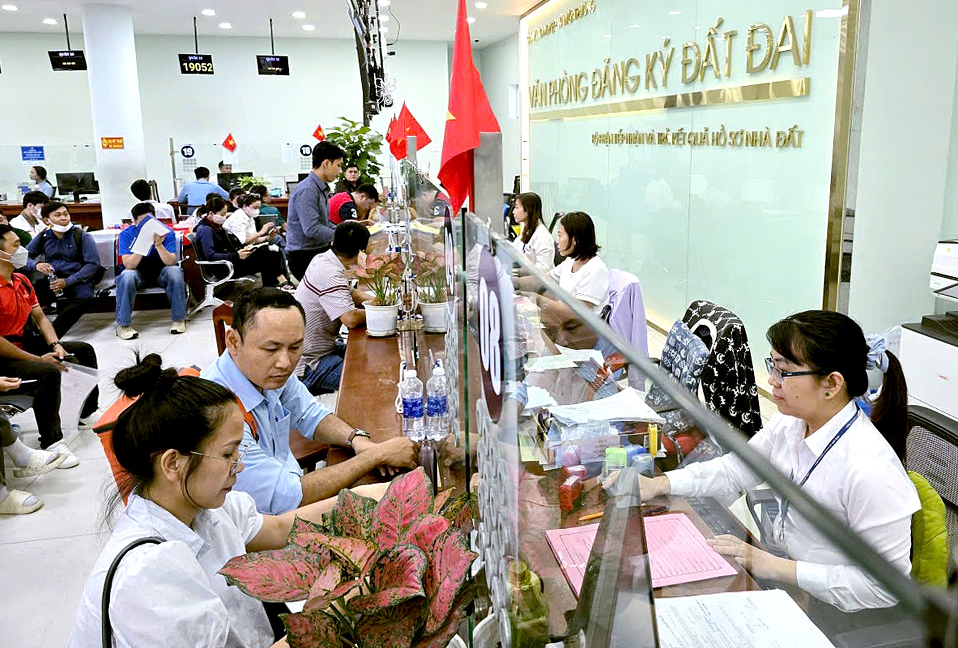 Ho-Chi-Minh-Stadt empfiehlt den Menschen, bei der Bereinigung der Landdaten zusammenzuarbeiten – Foto 1.