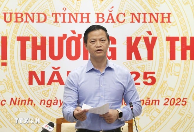 Chairman of Bac Ninh Provincial People's Committee Vuong Quoc Tuan speaks at the conference. (Photo: Dong Thuy/VNA)