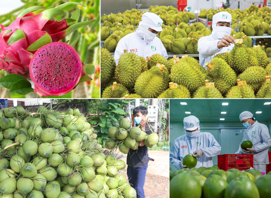 xuat-khau-rau-qua-cua-viet-nam-dat-hon-61-ty-usd-trong-9-thang.png