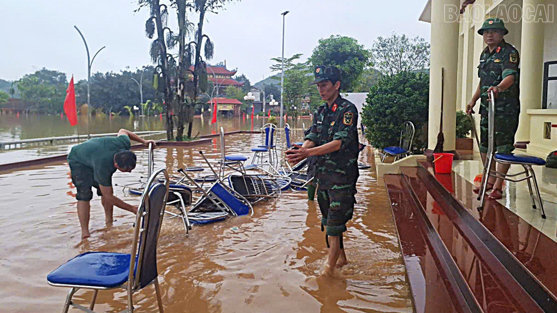 baolaocai-tr_a3.jpg