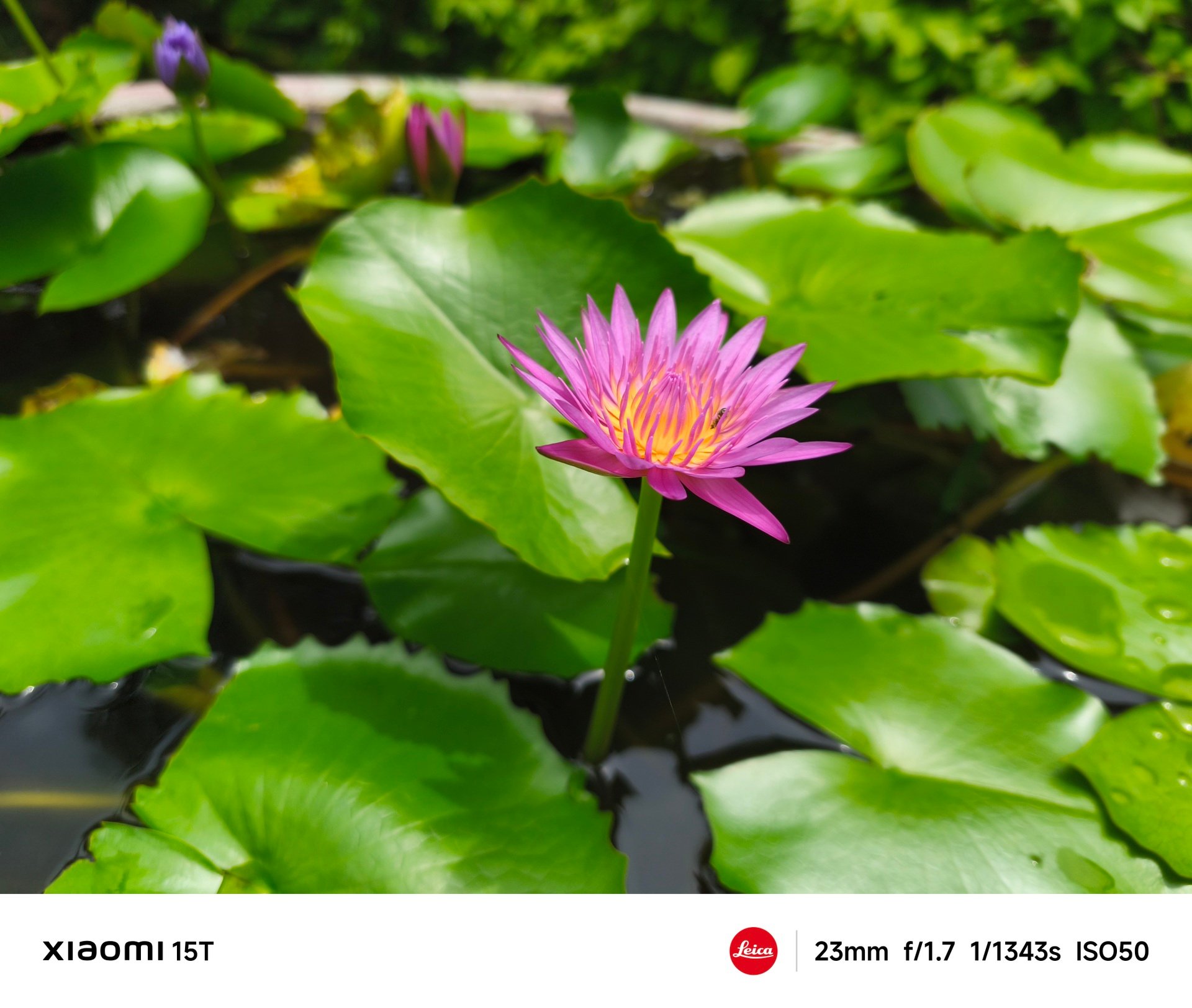 Đánh giá Xiaomi 15T: Cạnh tranh Samsung Galaxy S25 FE, OPPO Reno14 - 7