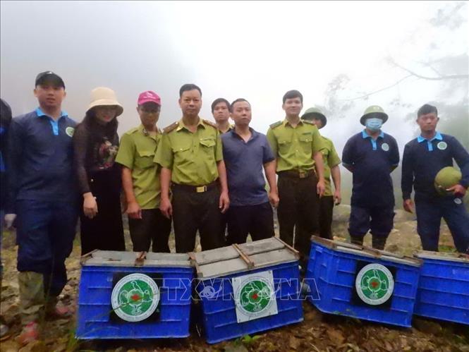 ចំណងជើងរូបថត