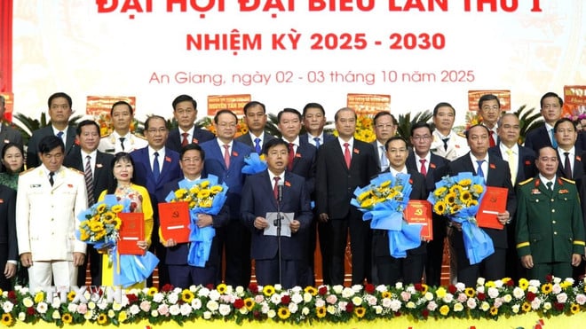 ttxvn-bo-chinh-tri-chi-dinh-ong-nguyen-tien-hai-lam-bi-thu-tinh-uy-an-giang-0310-2.jpg