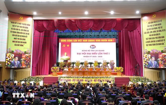 ttxvn-be-mac-dai-hoi-dai-bieu-dang-bo-tinh-an-giang4.jpg