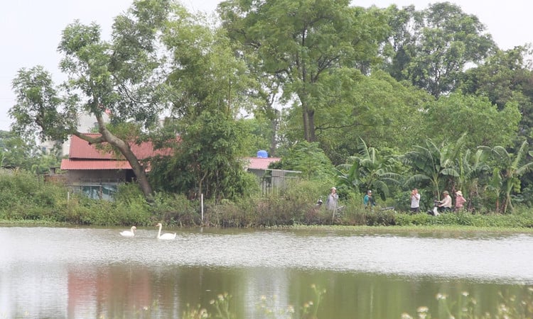 thien-1.jpg