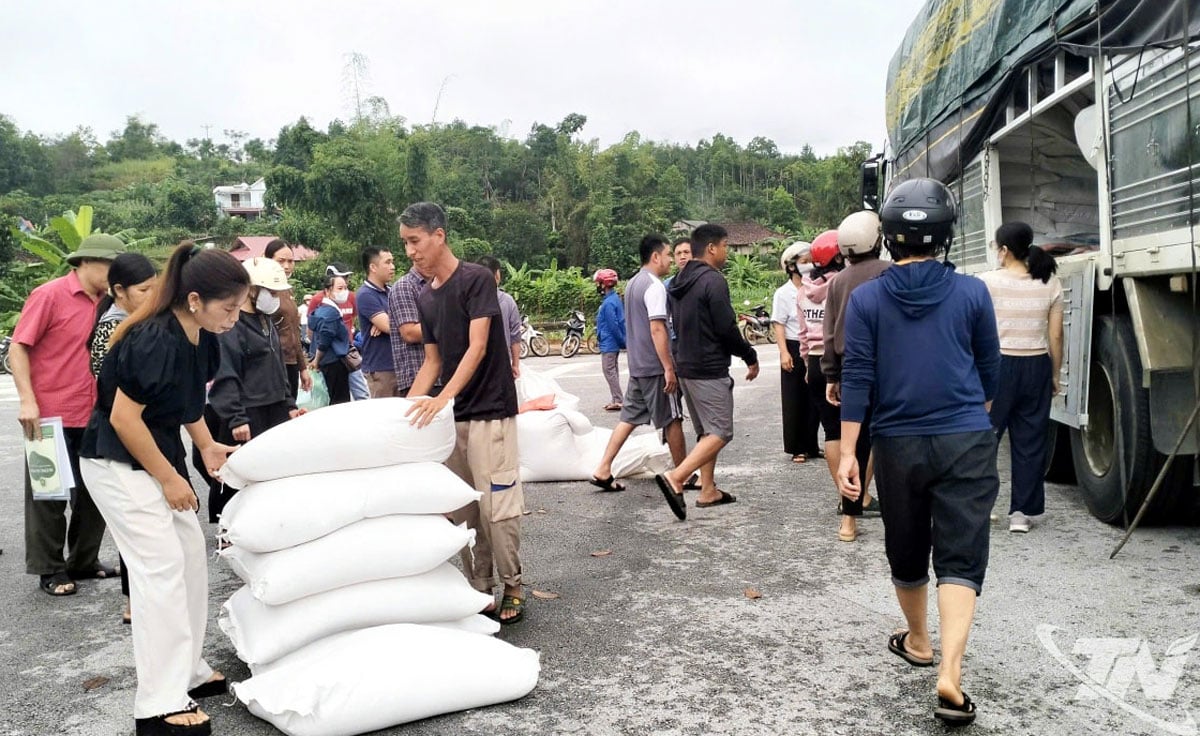 The distribution of rice to schools is being urgently implemented by localities.