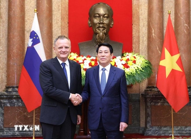 ttxvn-0310-chu-tich-nuoc-dai-su-slovenia-2.jpg