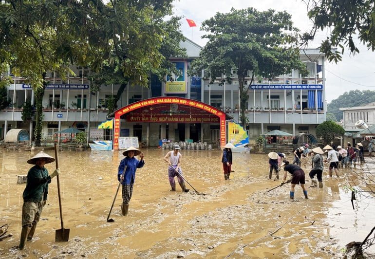 a8.jpg