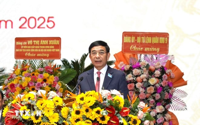 ttxvn-bo-chinh-tri-chi-dinh-ong-nguyen-tien-hai-lam-bi-thu-tinh-uy-an-giang-0310-3.jpg