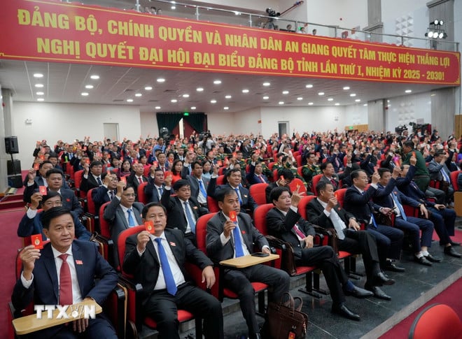 ttxvn-be-mac-dai-hoi-dai-bieu-dang-bo-tinh-an-giang3.jpg