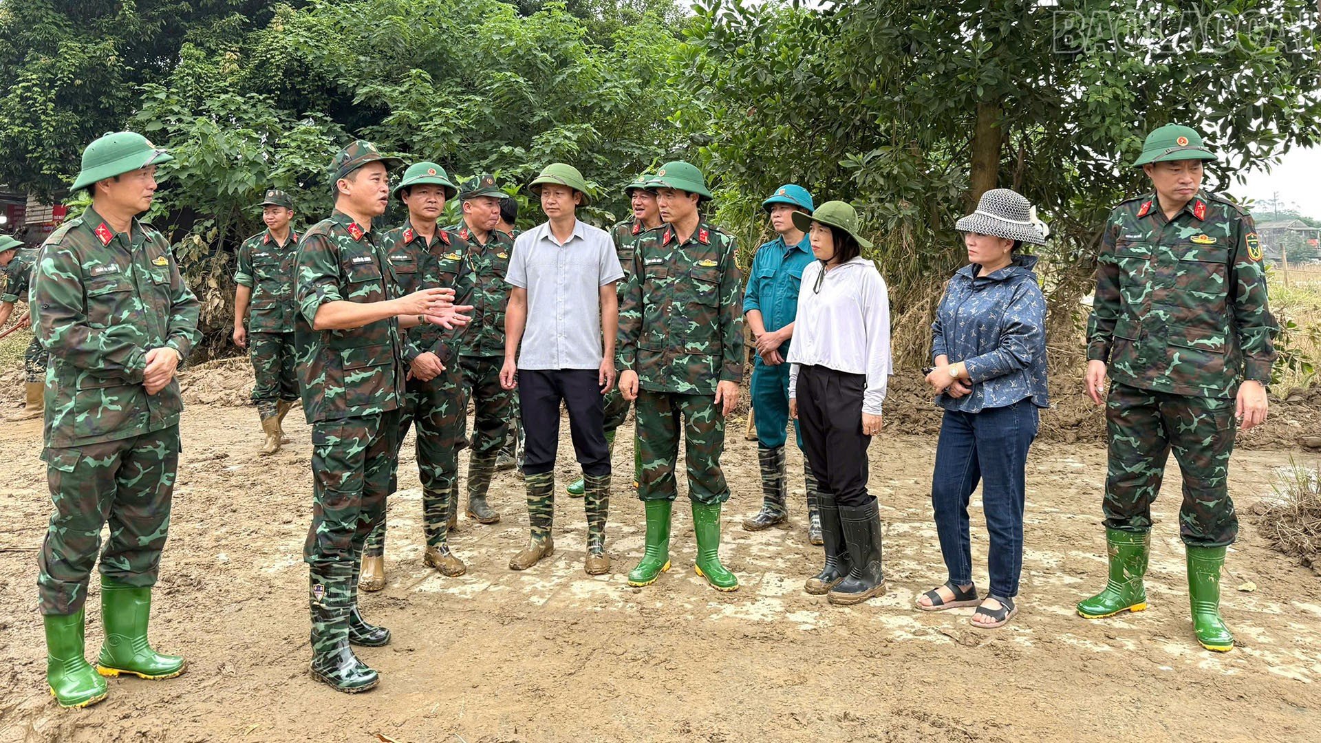 baolaocai-tr_a1.jpg