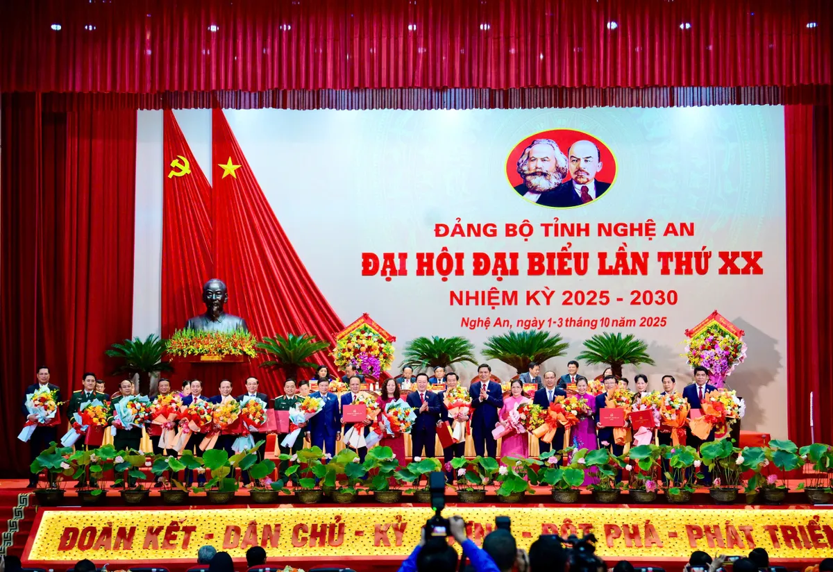 Bế mạc Đại hội đại biểu tỉnh Nghệ An lần thứ XX - Ảnh 4.