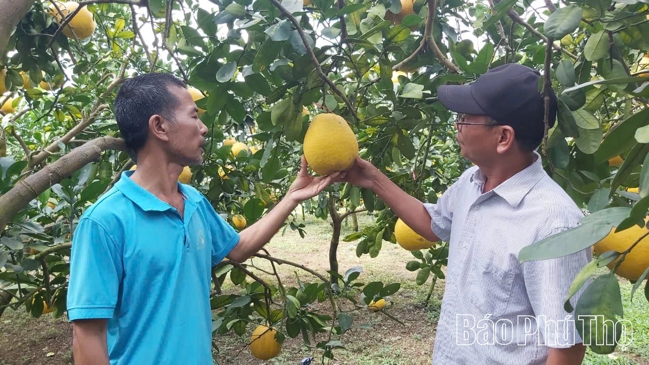ឃុំតាន់ឡាក់៖ ចលនាត្រាប់តាមស្នេហាជាតិរីកចំរើន