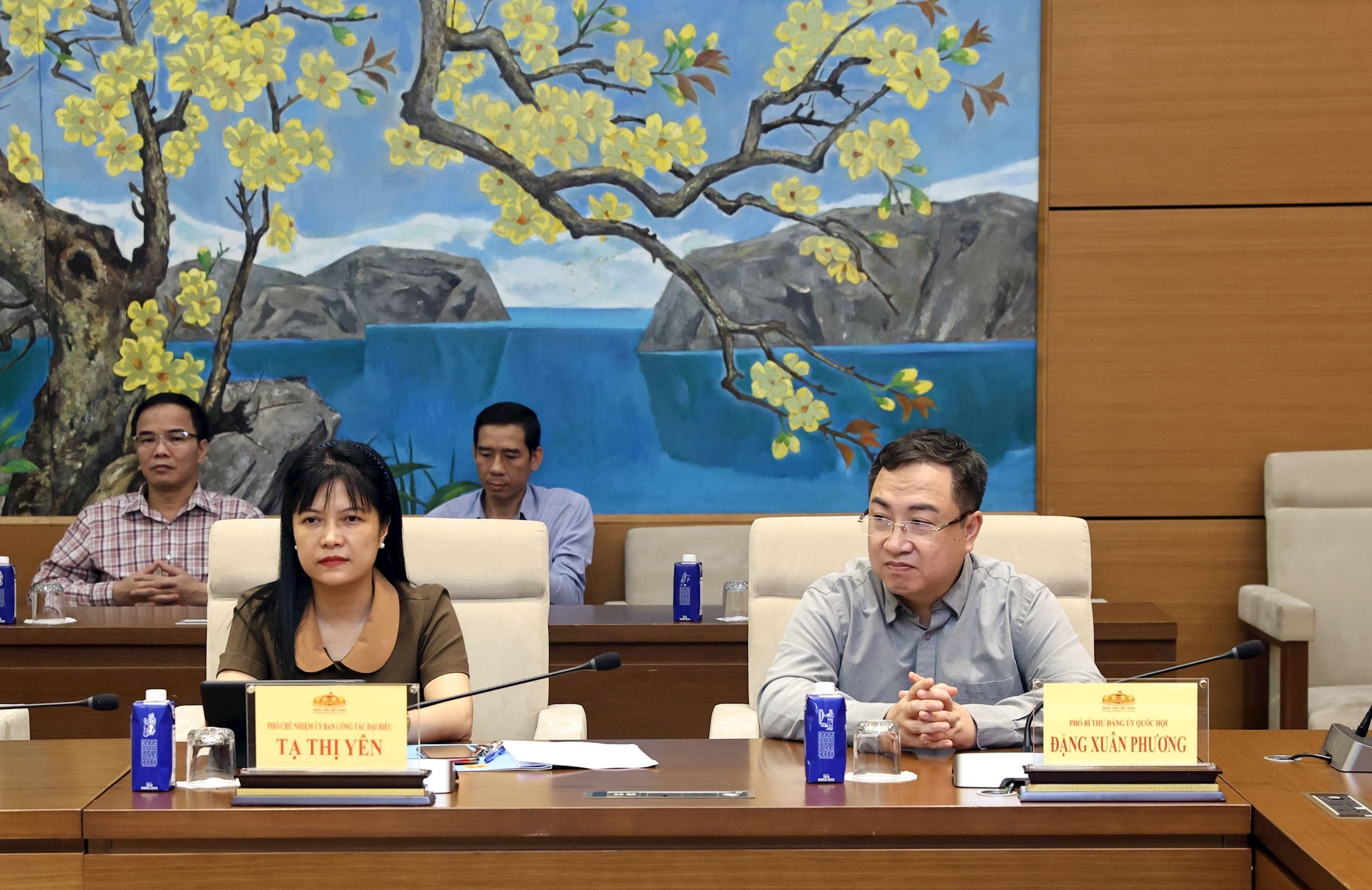 Secretarul adjunct al Comitetului Partidului Adunării Naționale, Phung Dang Xuan Phuong, a participat la ceremonia de luare a deciziilor.