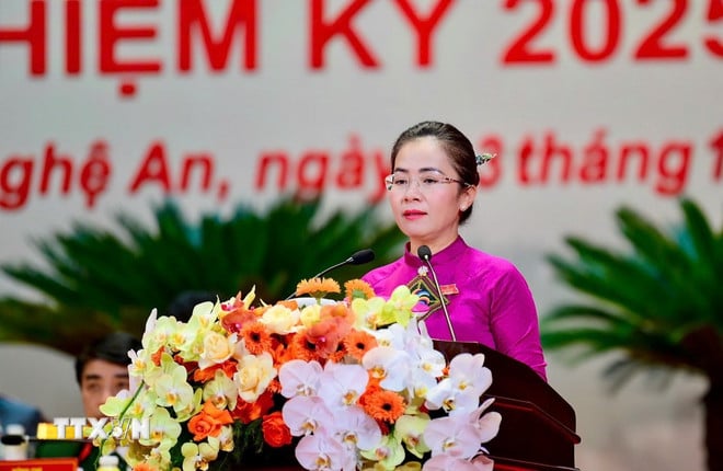 ttxvn-nghe-an.jpg