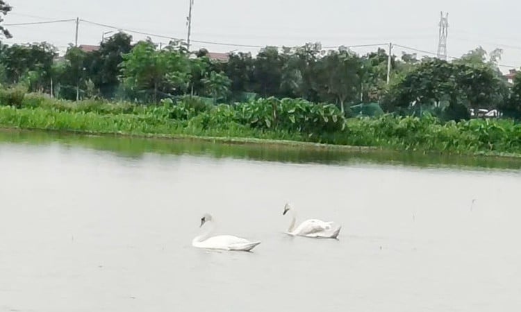 thien-2.jpg