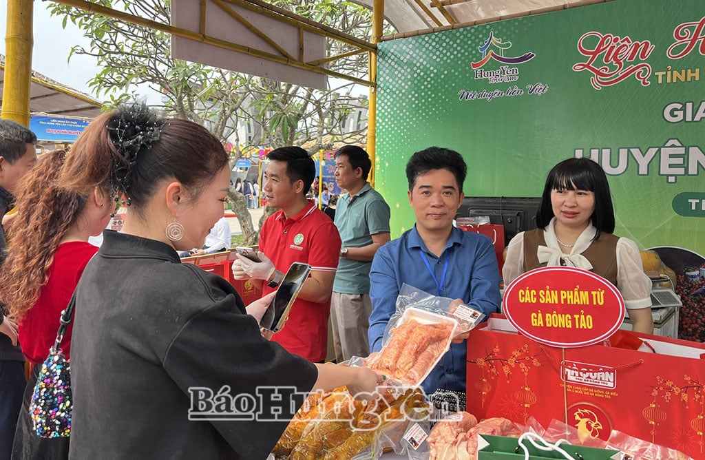 ណែនាំផលិតផលមាន់ Dong Tao ឃុំ Hoan Long។
