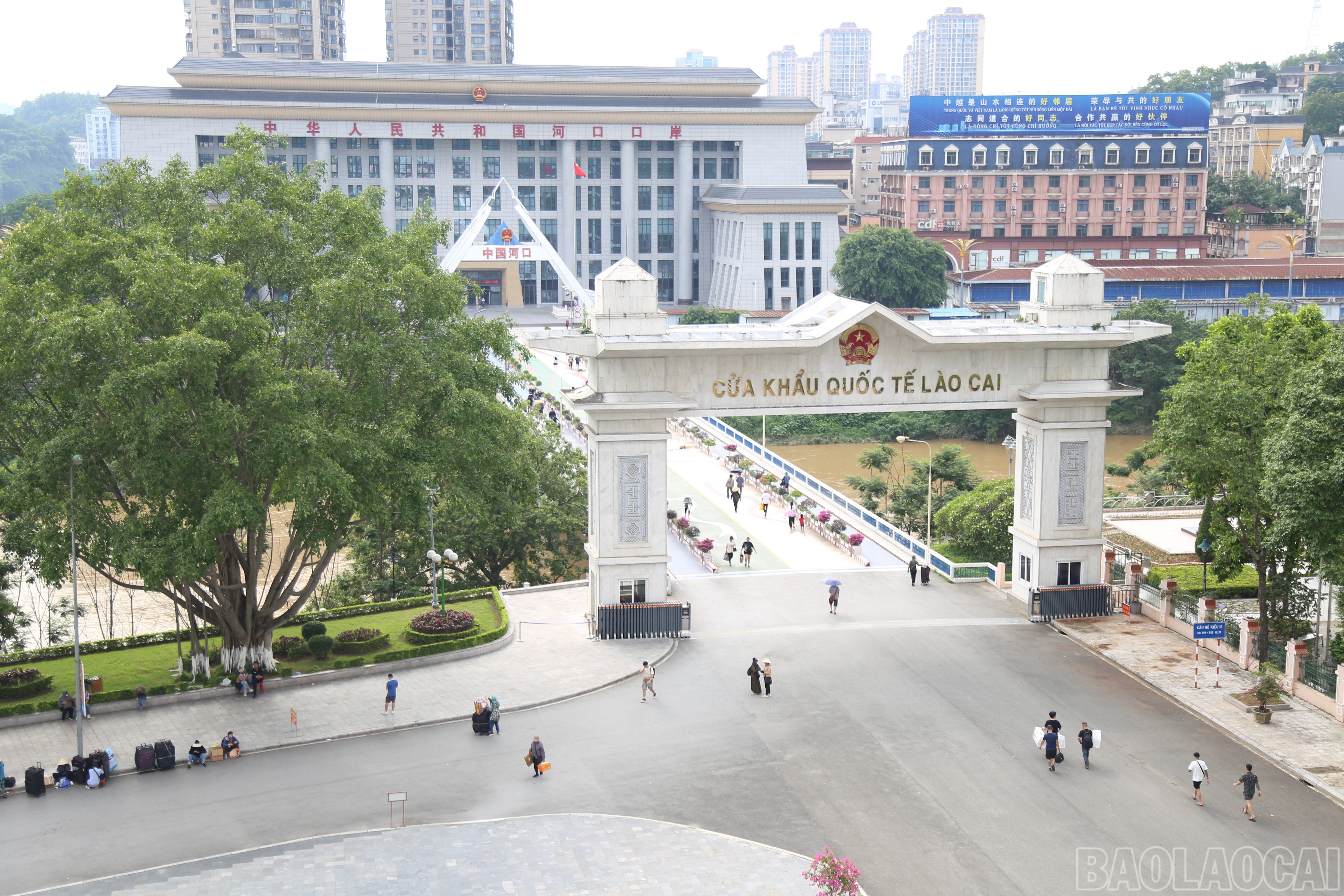 baolaocai-br_img-5865.jpg