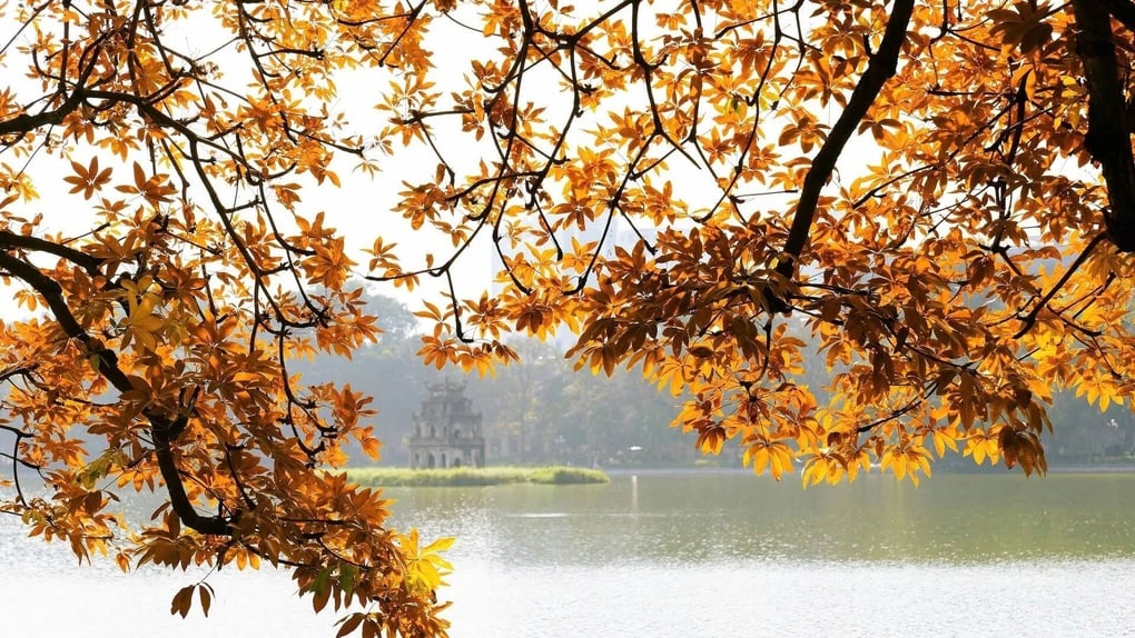 Mùa thu Hà Nội vào top đẹp nhất châu Á - 1