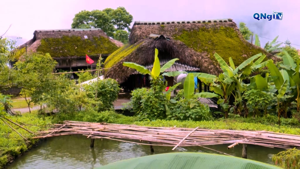 ইউটিউব,০৩,০৭,০৬,১৪, এখনও৮৭০০,১৫৩৪৩৯০৩.jpg