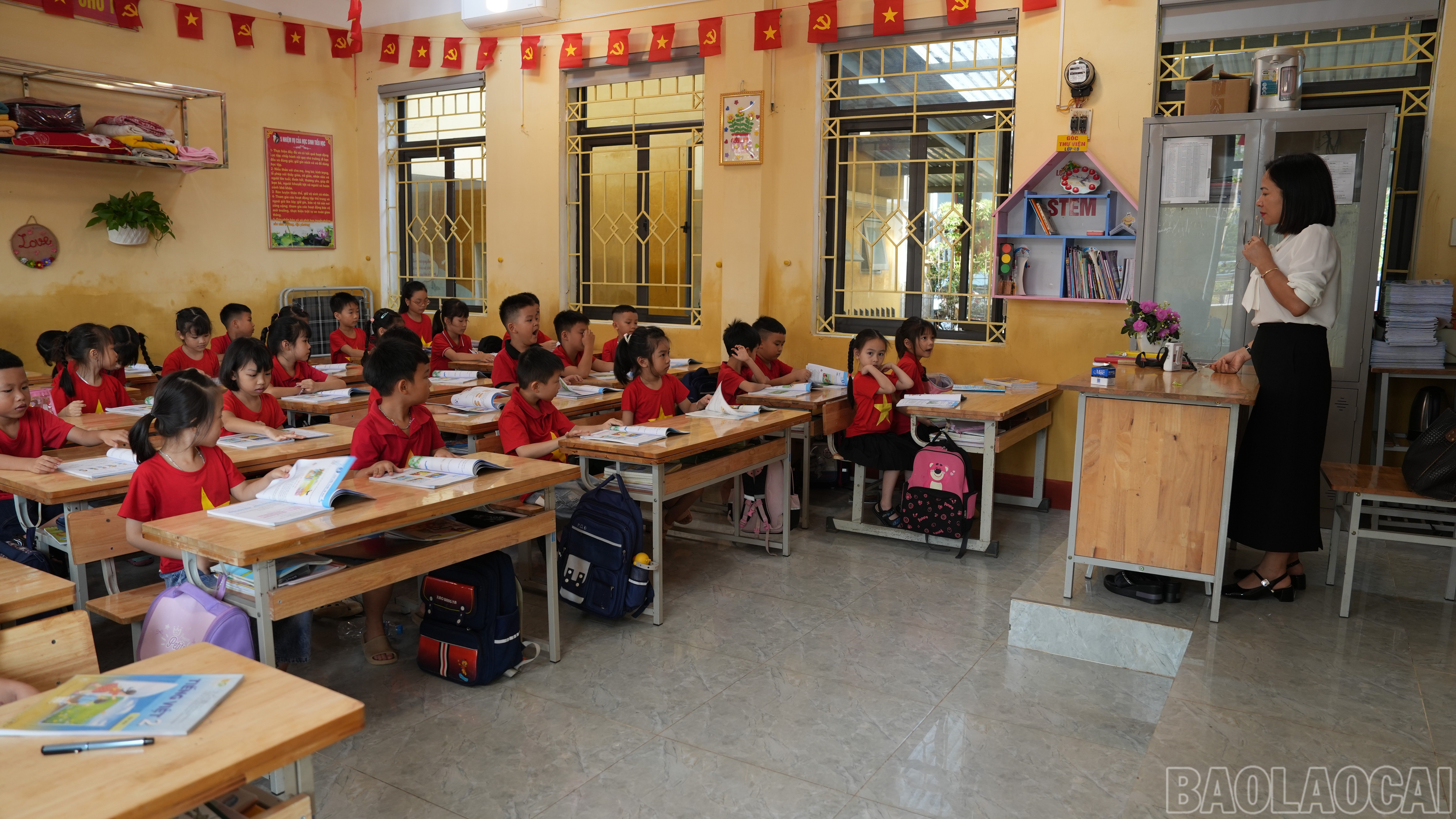 baolaocai-br_anh-7.jpg