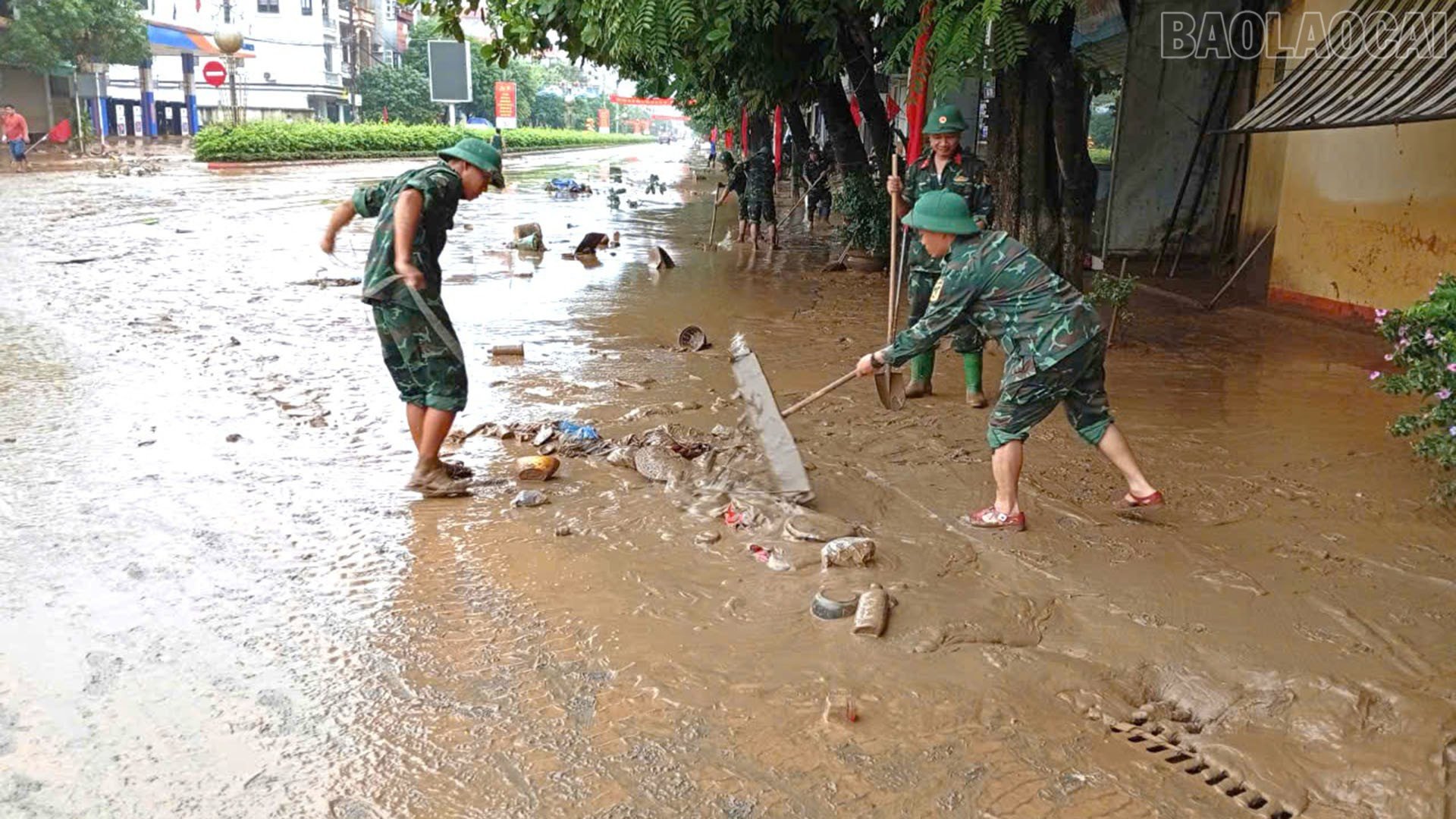 baolaocai-tr_a7.jpg