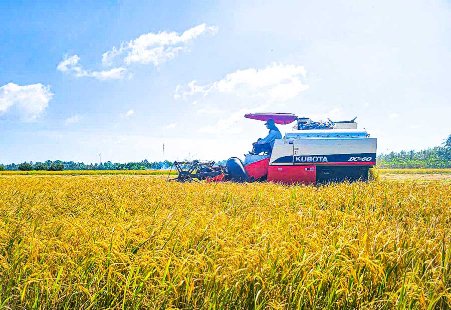 Nông nghiệp dần chuyển đổi phương thức canh tác từ truyền thống sang hướng hiện đại, thông minh.