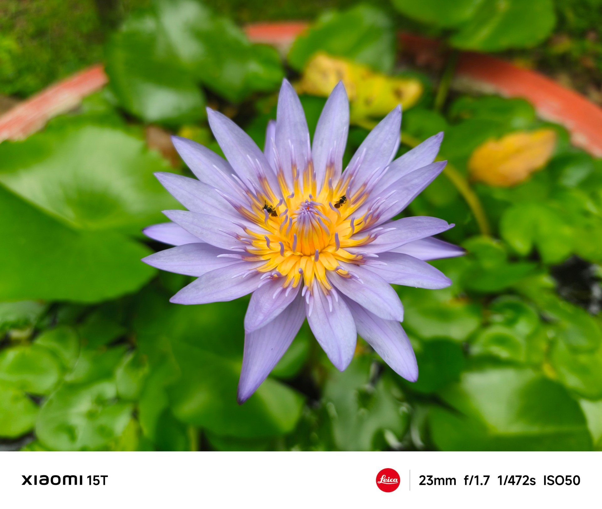 Đánh giá Xiaomi 15T: Cạnh tranh Samsung Galaxy S25 FE, OPPO Reno14 - 8